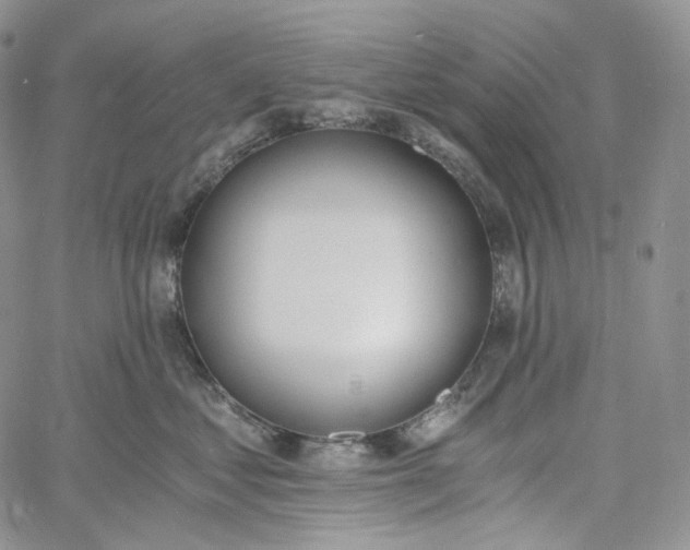 X0000060800621200511241912