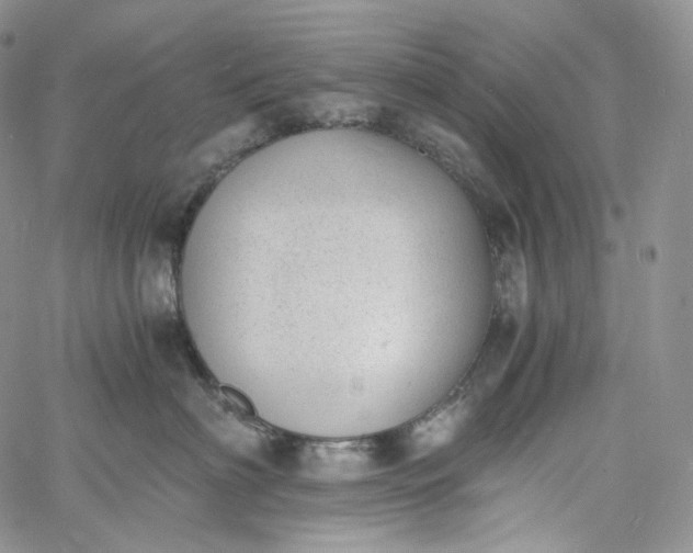 X0000060800622200511241912