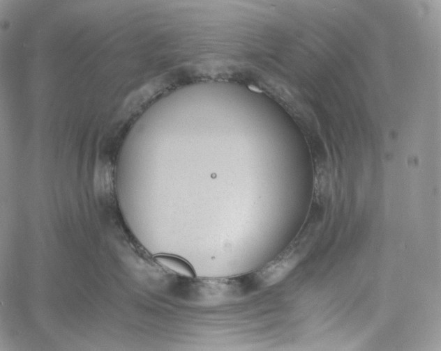 X0000060800623200511241912