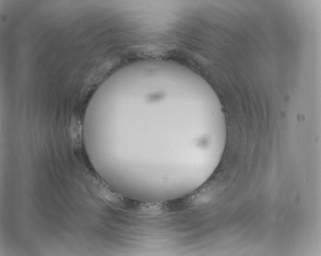 X0000060800624200511241912