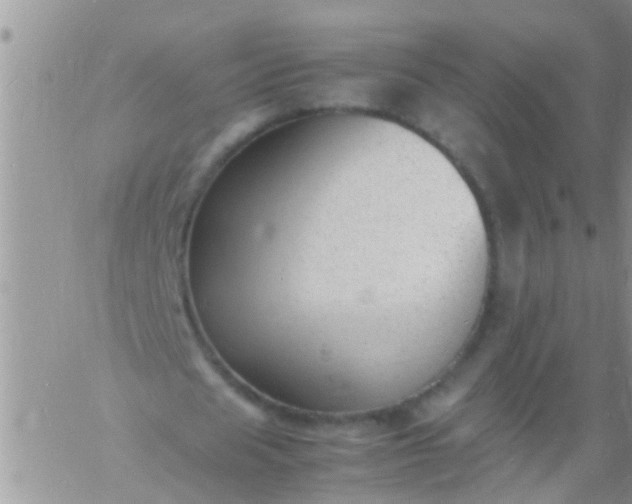 X0000060800625200511241911