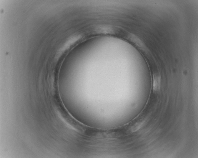 X0000060800627200511241911