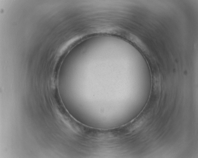 X0000060800628200511241911