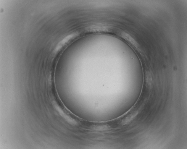 X0000060800629200511241911