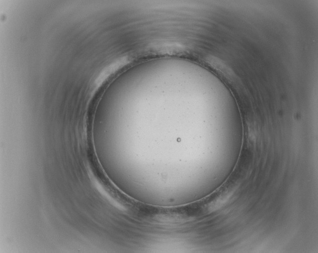 X0000060800630200511241911