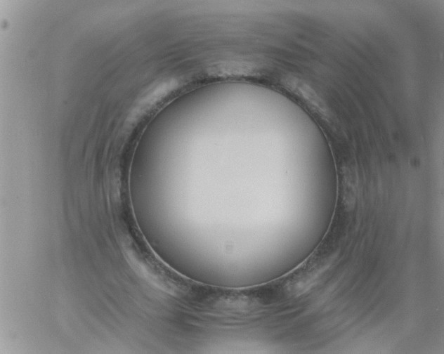 X0000060800631200511241911