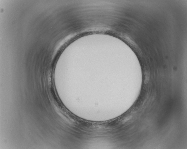 X0000060800632200511241911