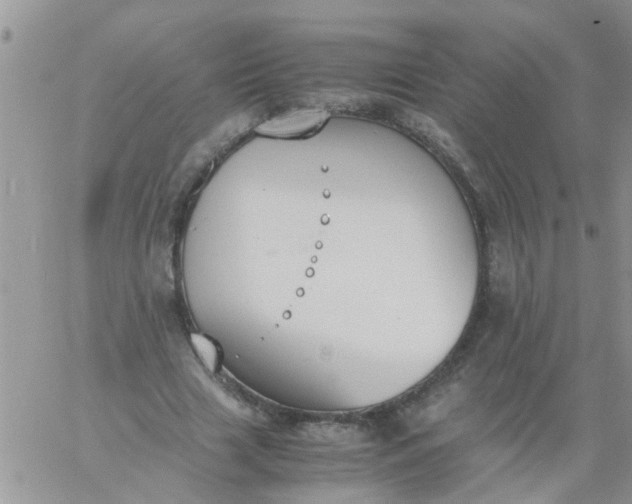 X0000060800633200511241911