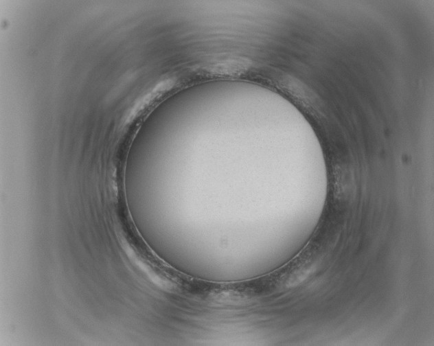 X0000060800634200511241911