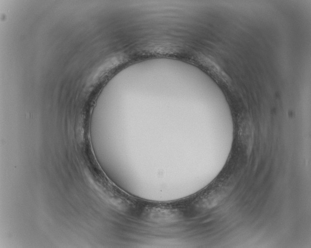 X0000060800635200511241911