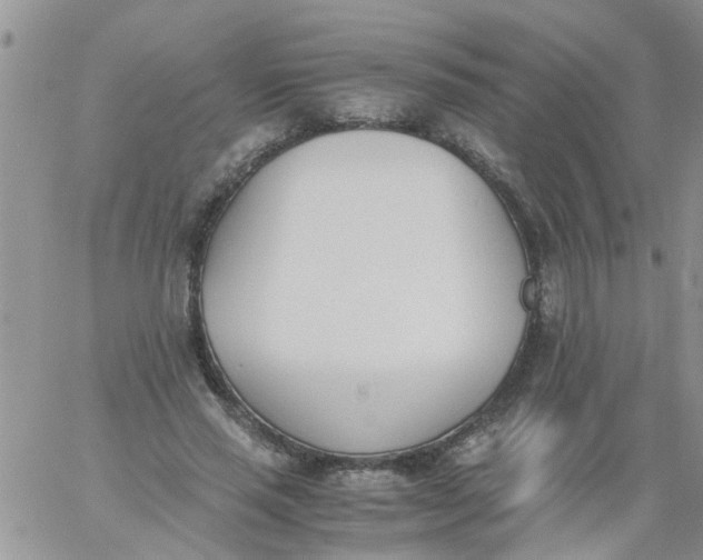 X0000060800637200511241911