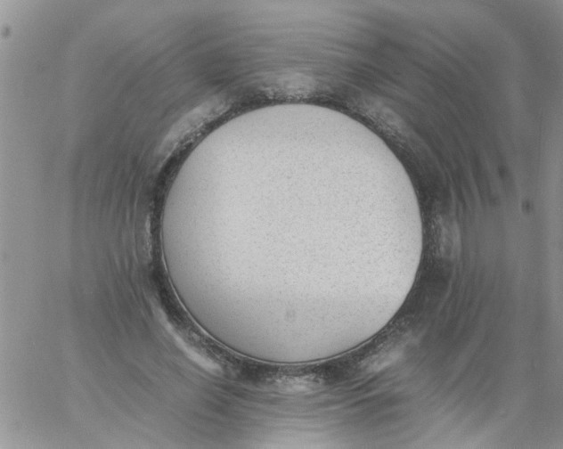 X0000060800638200511241911