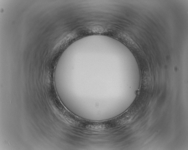 X0000060800639200511241911