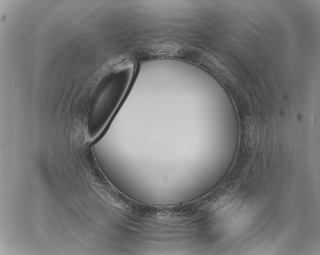 X0000060800641200511241911