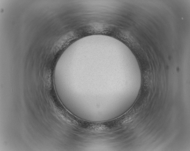 X0000060800642200511241911