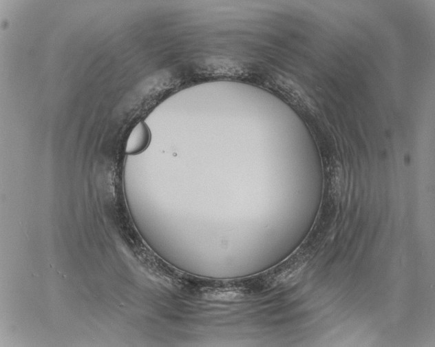 X0000060800643200511241911