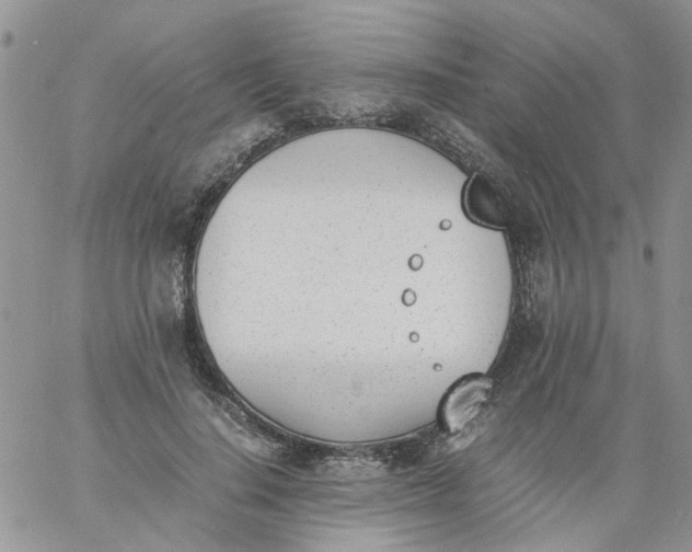 X0000060800644200511241911