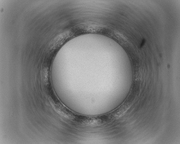 X0000060800646200511241911