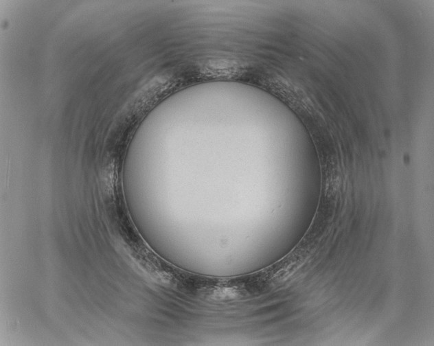 X0000060800647200511241911