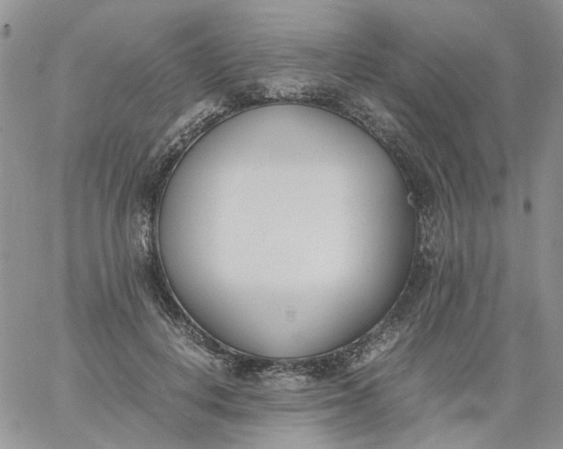 X0000060800648200511241911