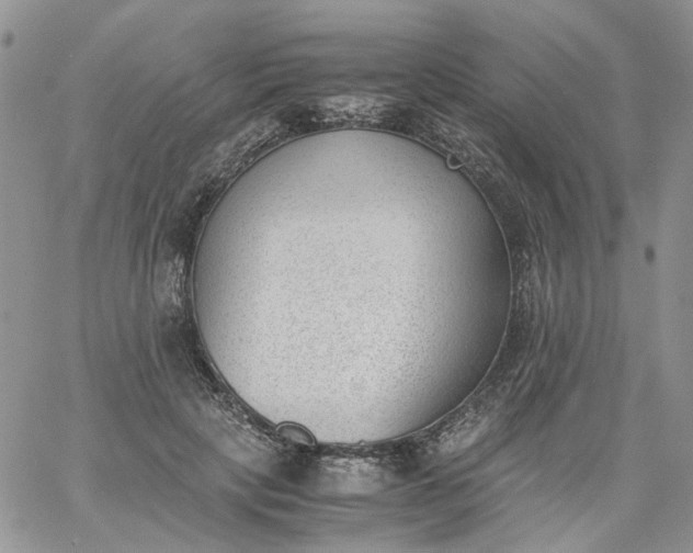 X0000060800649200511241911