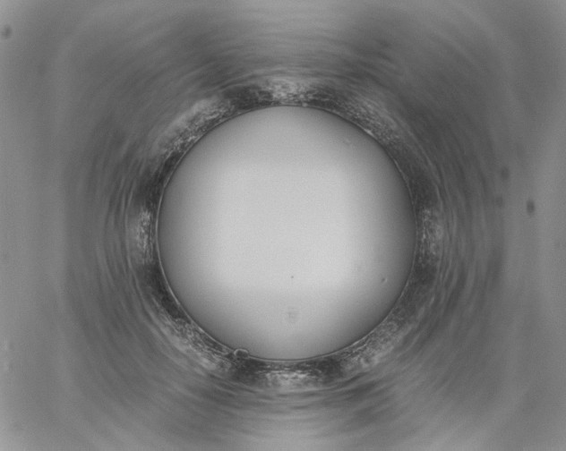 X0000060800650200511241911