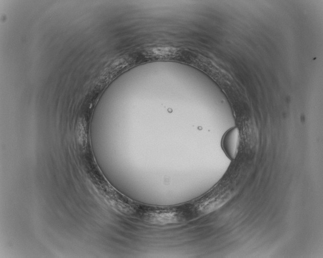 X0000060800651200511241911