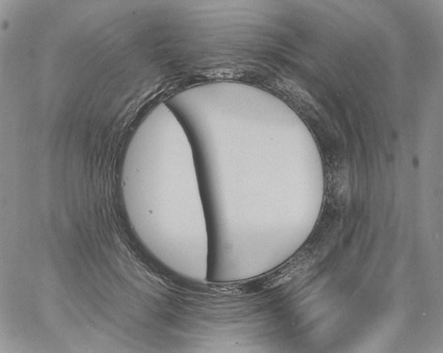 X0000060800652200511241911