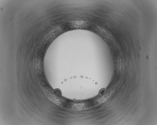 X0000060800653200511241911