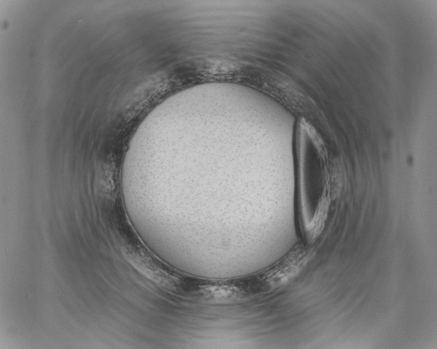 X0000060800654200511241911