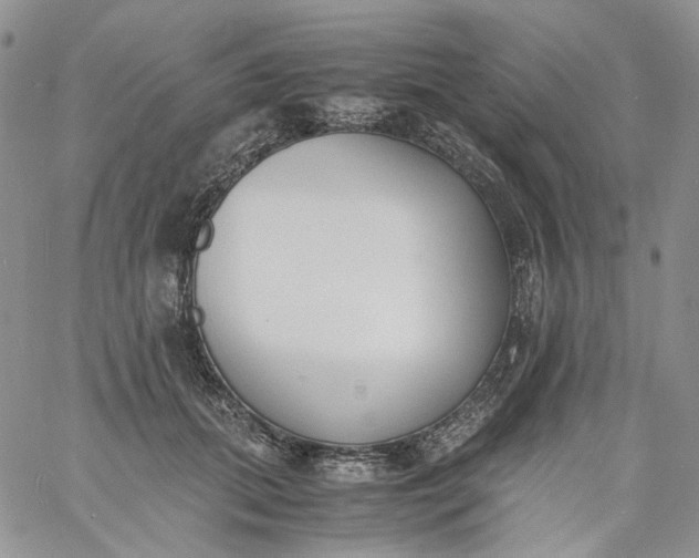 X0000060800655200511241911