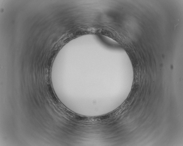 X0000060800656200511241911