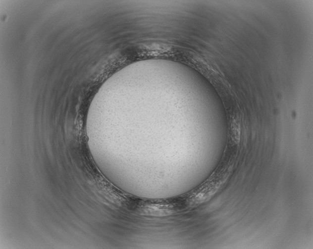 X0000060800657200511241911