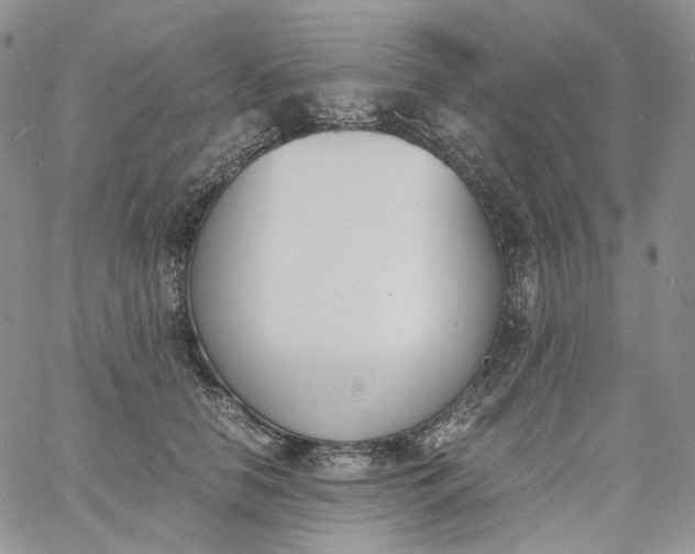 X0000060800658200511241911