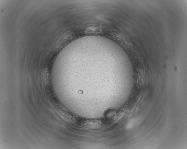 X0000060800659200511241911