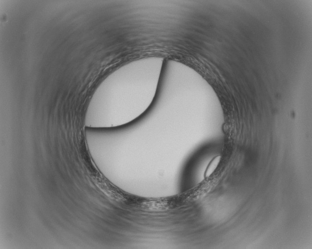 X0000060800660200511241911