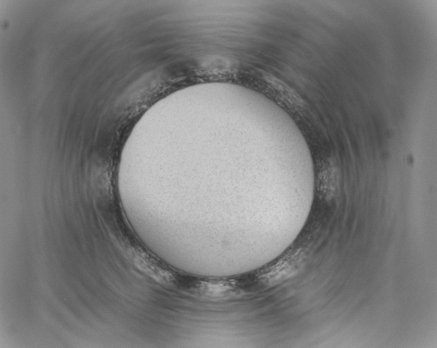 X0000060800662200511241911