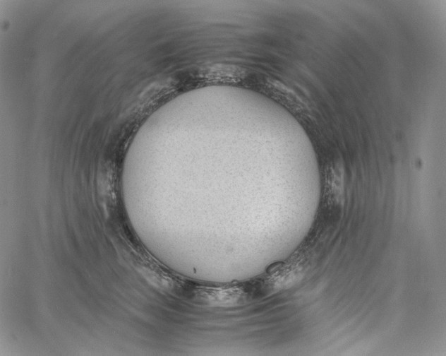 X0000060800663200511241911