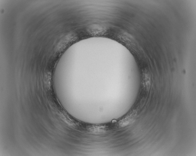 X0000060800664200511241911