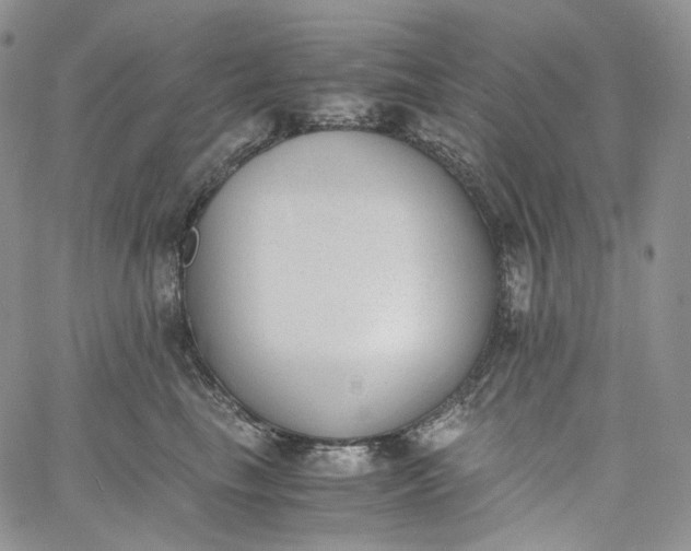 X0000060800665200511241912