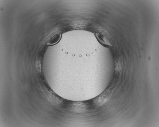 X0000060800666200511241912