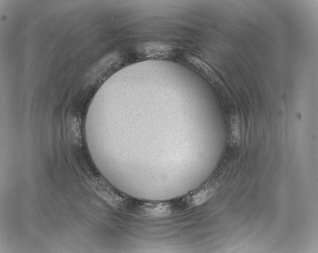 X0000060800667200511241912