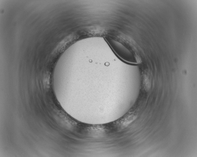 X0000060800668200511241912