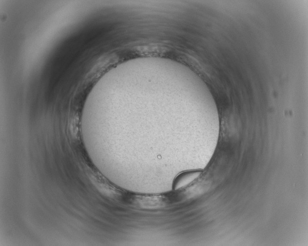 X0000060800671200511241912