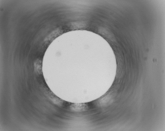 X0000060800672200511241912