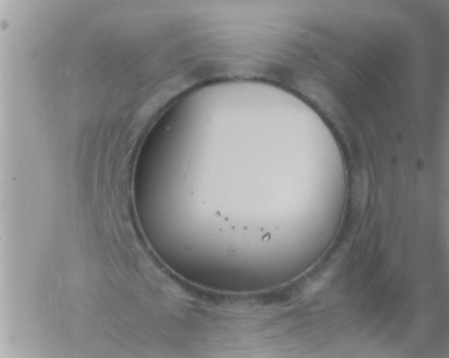 X0000060800673200511241911