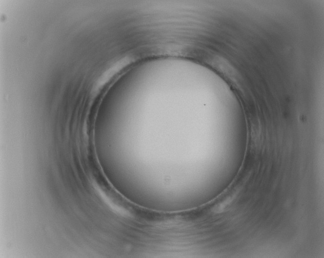 X0000060800674200511241911