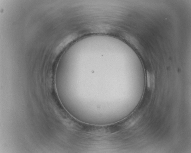 X0000060800675200511241911