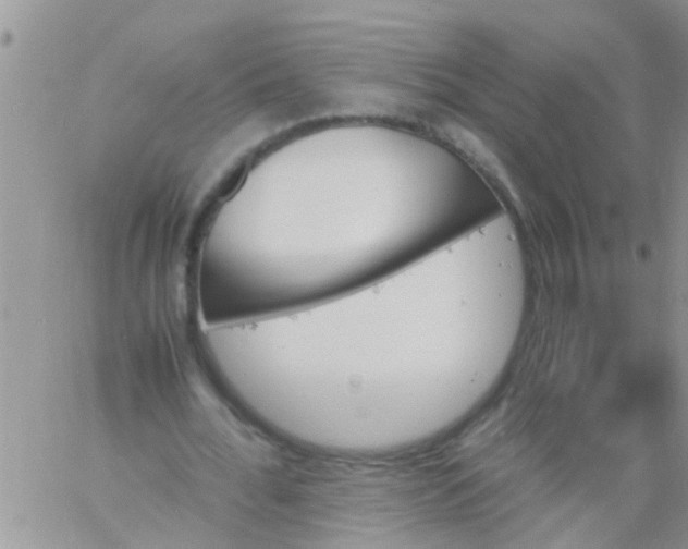 X0000060800676200511241911