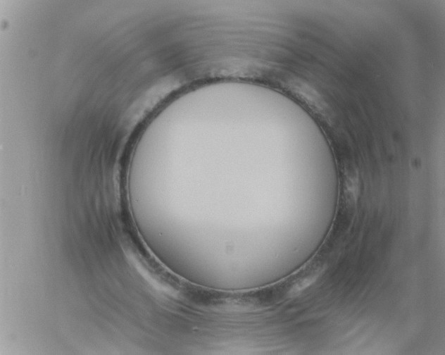 X0000060800678200511241911